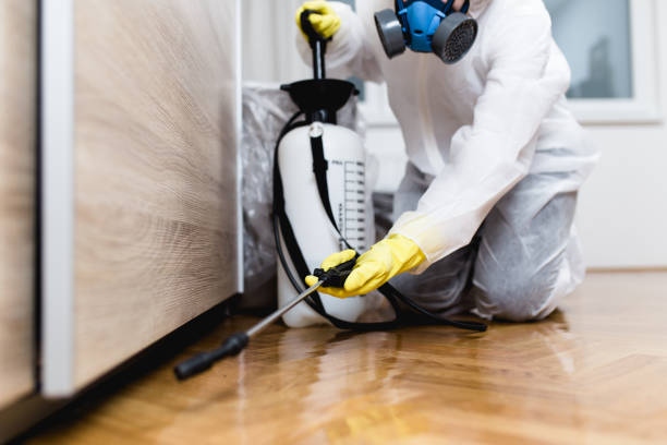 Best Pest Control Near Me  in Princeton Junction, NJ