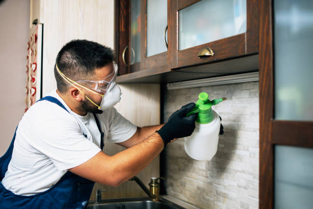 Best Flea Control Services  in Princeton Junction, NJ