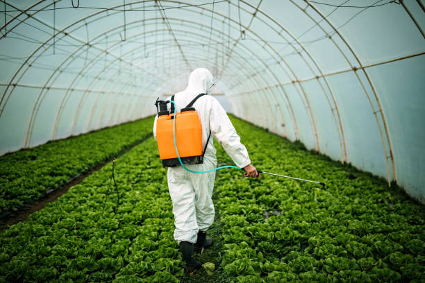 Best Mosquito Control Services  in Princeton Junction, NJ