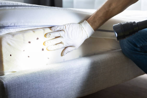 Insect Control in Princeton Junction, NJ