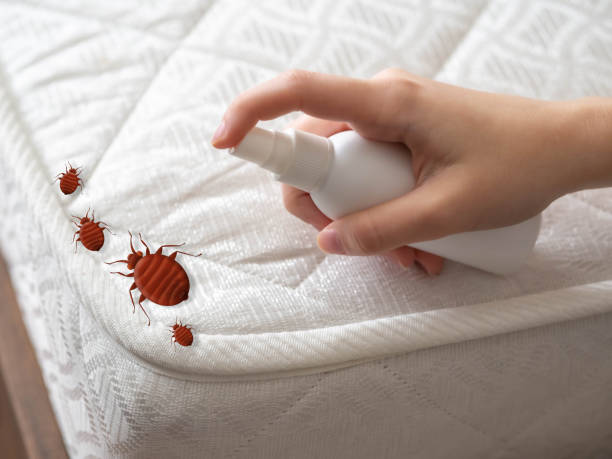 Best Affordable Pest Control Services  in Princeton Junction, NJ