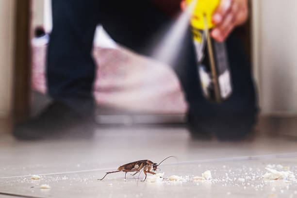 Best Local Pest Control Services  in Princeton Junction, NJ