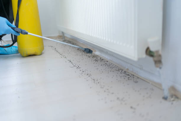 Best Mosquito Control Services  in Princeton Junction, NJ