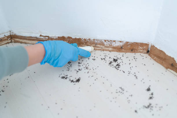 Professional Pest Control in Princeton Junction, NJ